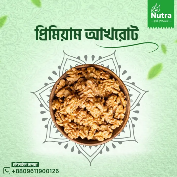 প্রিমিয়াম আখরোট (Premium Walnut) - Image 1