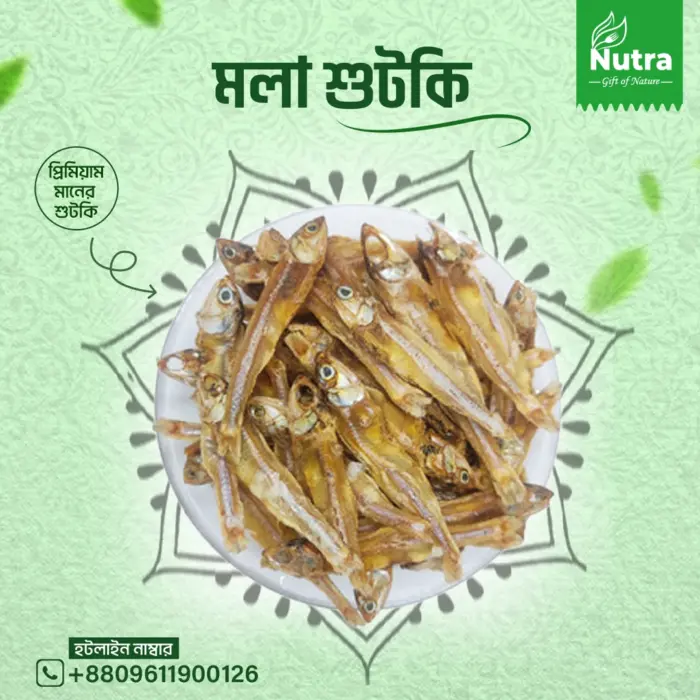 Organic Mola Dry Fish - Image 1