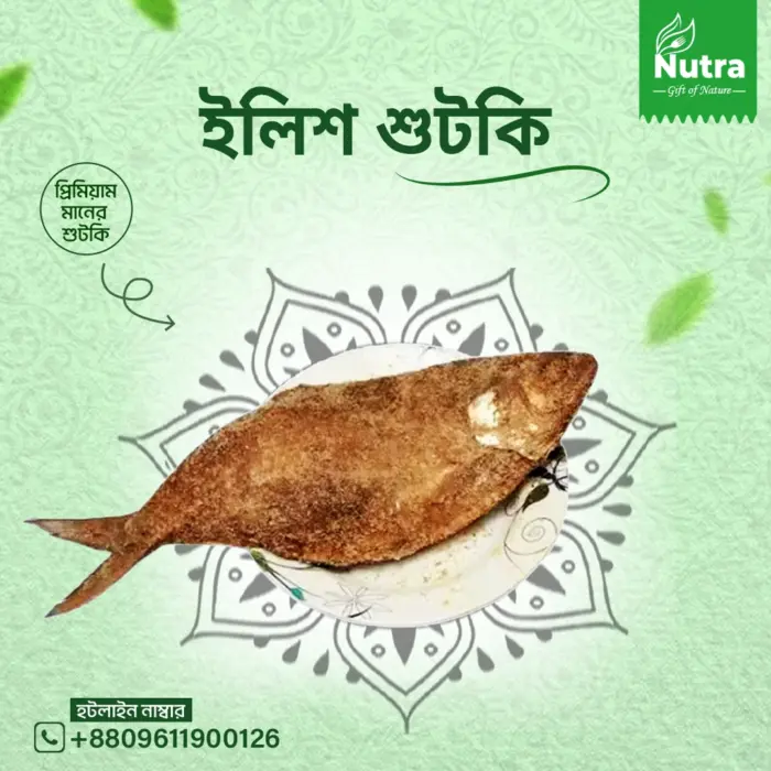 ইলিশ শুটকি 500 gm - Image 1