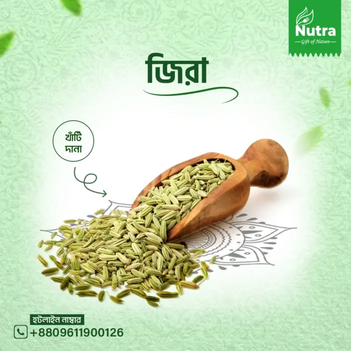 জিরা/Cumin - Image 1