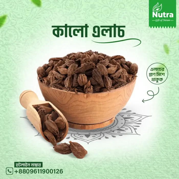 কালো এলাচ/Black Cardamom - Image 1