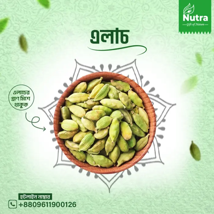 এলাচ/Cardamom - Image 1