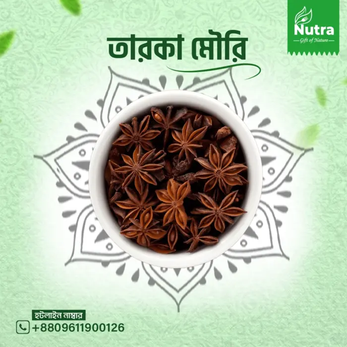 তারকা মৌরি/Star Anise - Image 1