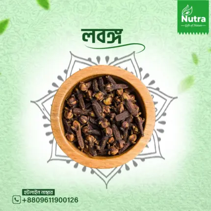 লবঙ্গ/Clove
